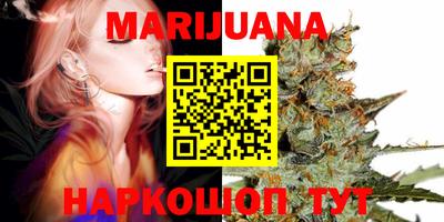 мяу мяу мука Краснознаменск