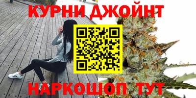 крисы Краснодар