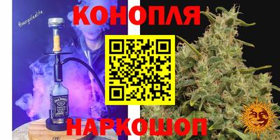 крисы Краснодар