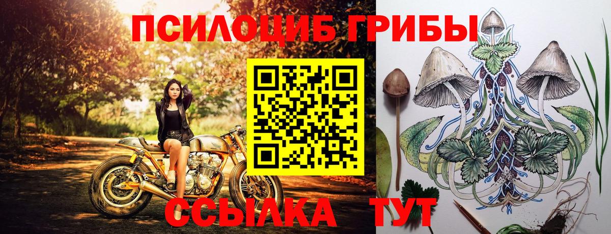 Калуга  Псилоцибиновые грибы Psilocybine cubensis  Вход с VPN 