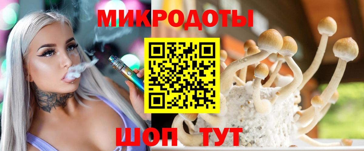 Псилоцибиновые грибы Psilocybine cubensis Калуга